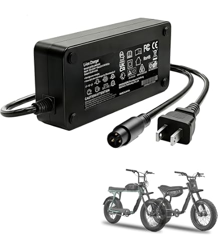 Amazon.com: YIBEICO Battery Charger for Super 73 ZX/S2/RX/Z S R